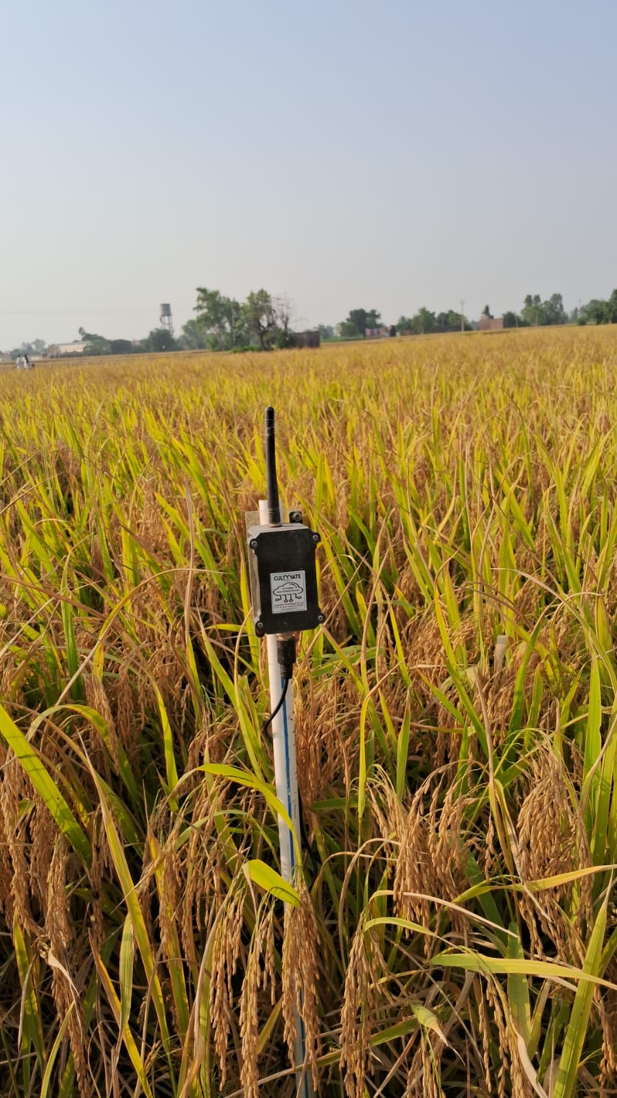 Make your farm smart with IoT technology