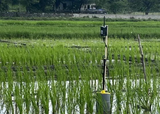 CultYvate’s Alternate Wetting and Drying (AWD) technology reduces methane emissions by up to 60% by disrupting traditional practices and optimizing irrigation.